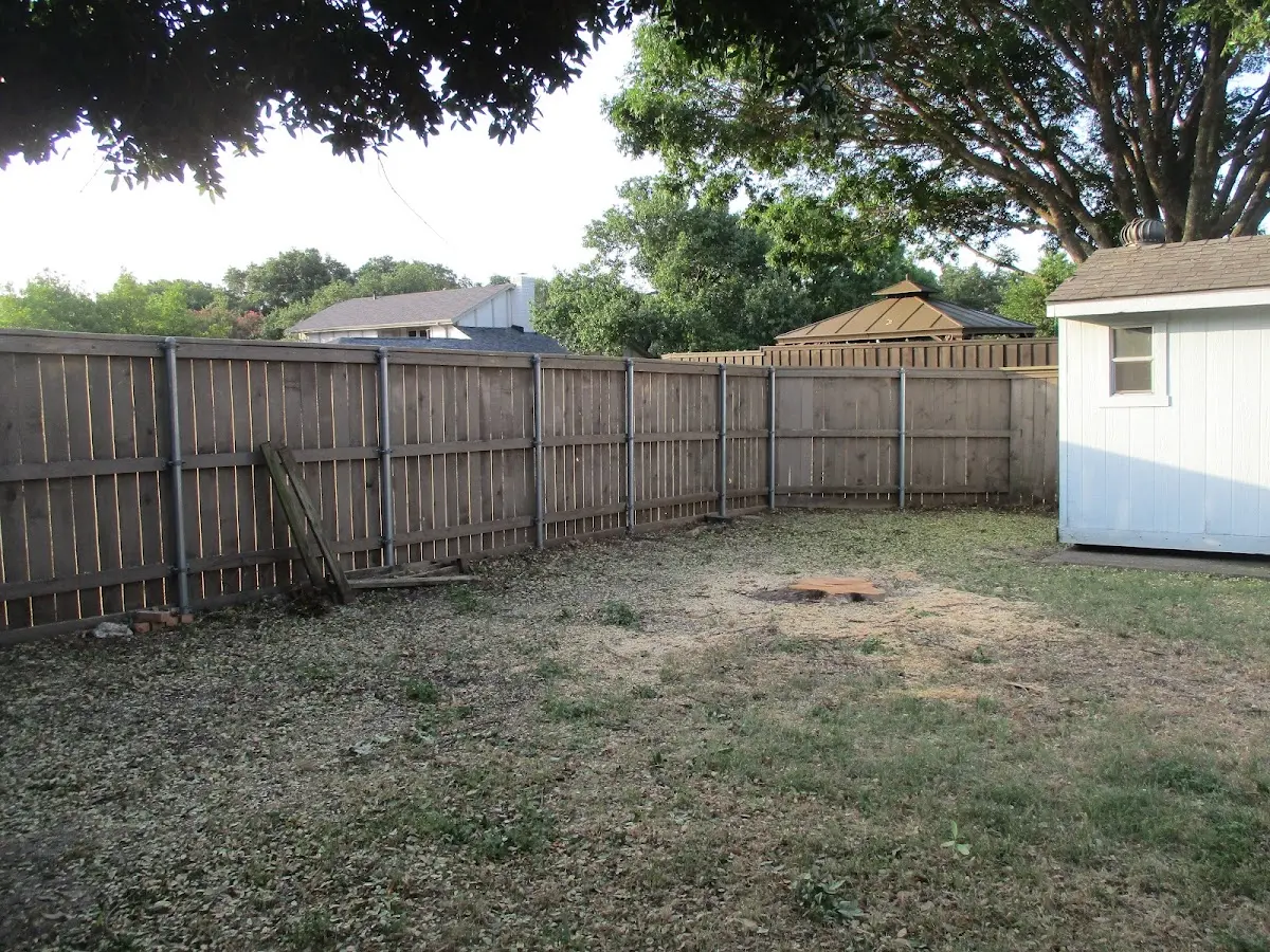 Cleared yard after professional tree removal in Tununak